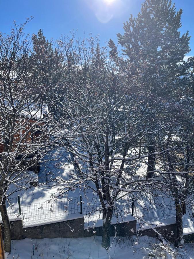 Chalet Isard Pyrenees 2000 - 300M Des Pistes Bolquere Pyrenees 2000 外观 照片