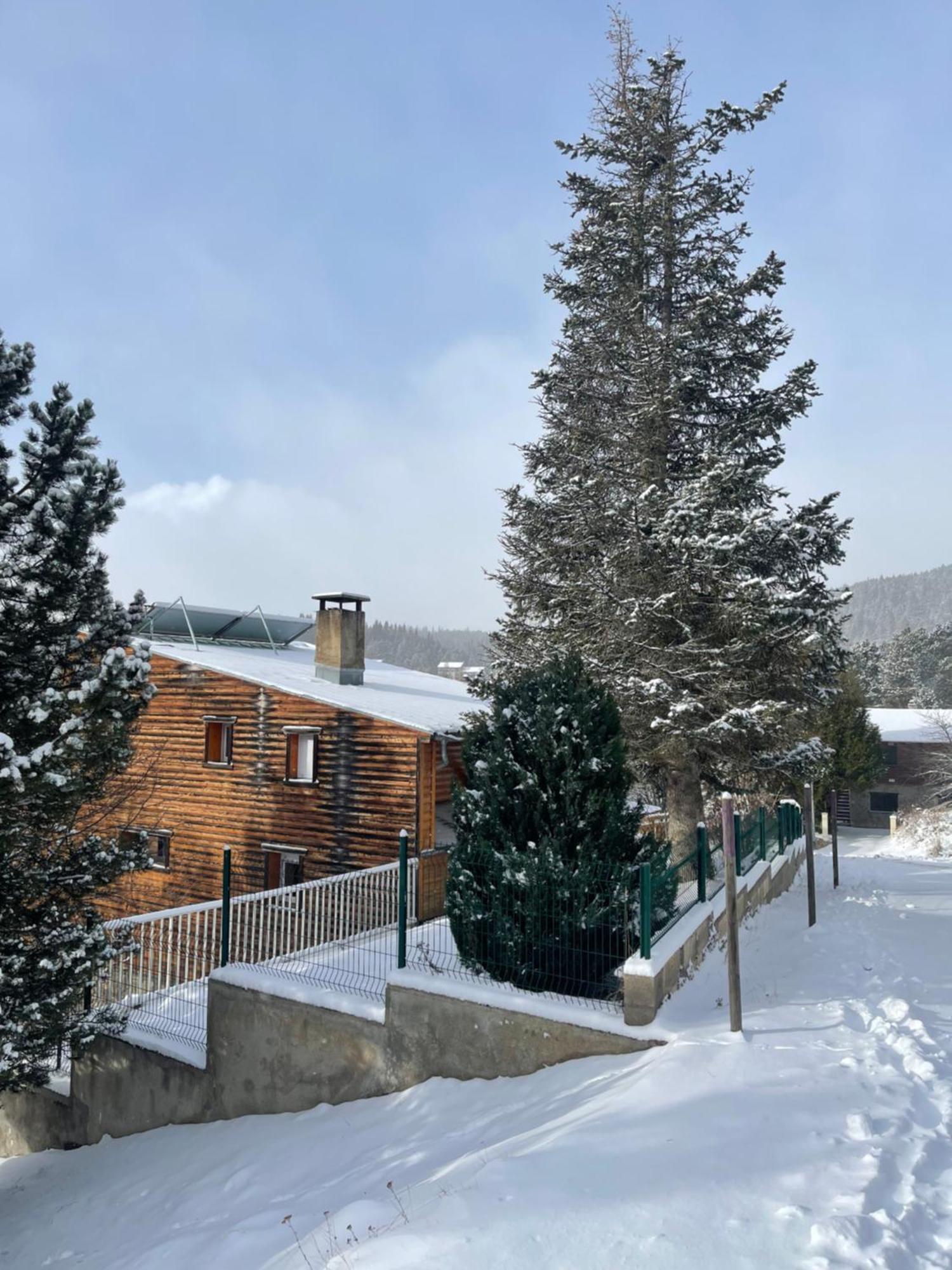 Chalet Isard Pyrenees 2000 - 300M Des Pistes Bolquere Pyrenees 2000 外观 照片